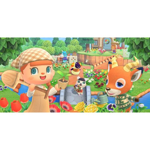  Animal Crossing  Nintendo Switch 
