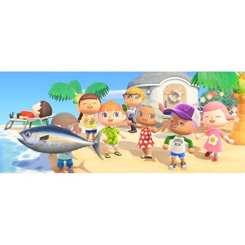  Animal Crossing  Nintendo Switch 