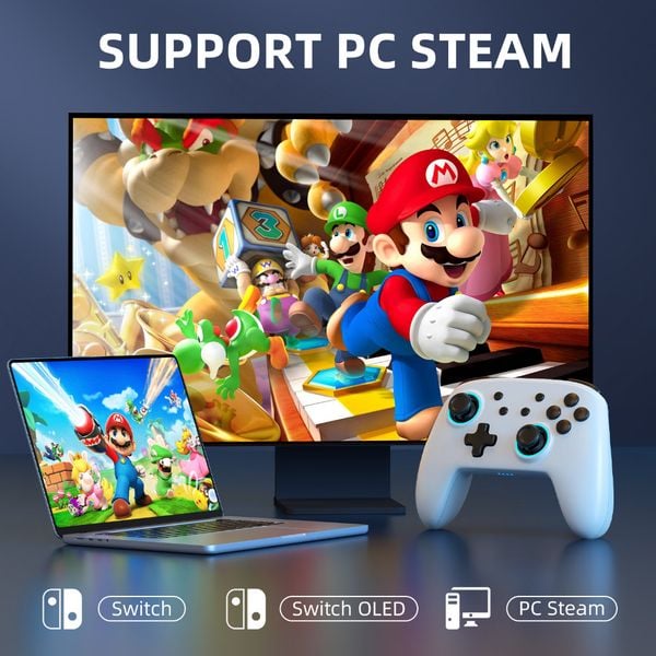  Tay Cầm Chơi Game Bluetooth Không Dây Samurai Cho Nintendo Switch IINE L617 Đen và IINE L856 trắng 