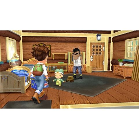  Story Of Seasons A Wonderful Life Nintendo Switch 