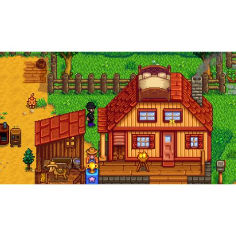  Stardew Valley Nintendo Switch 