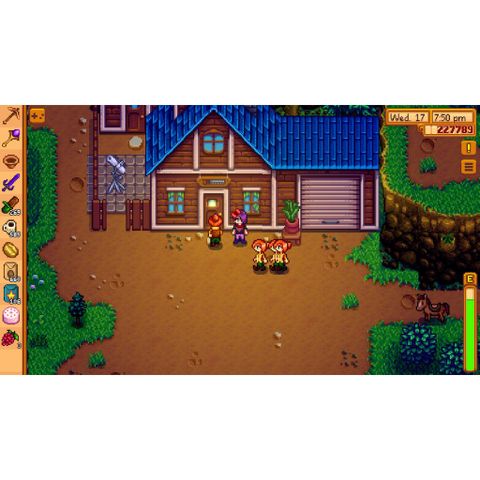  Stardew Valley Nintendo Switch 