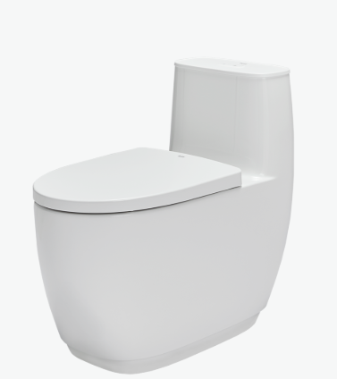  Bồn cầu 1 khối AC-1052VN 