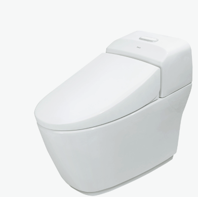  Bồn cầu 1 khối AC-1032VN 