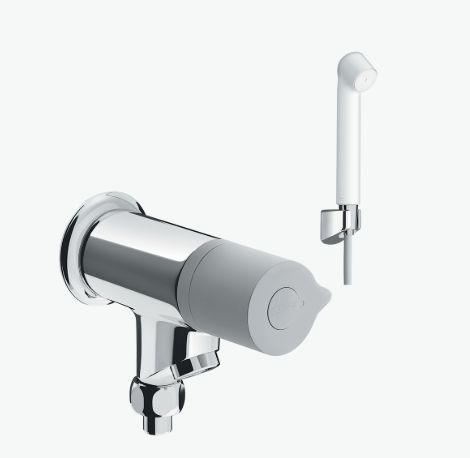 Sen vòi đơn BFV-10