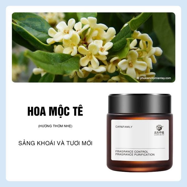 Sáp Thơm Ô Tô Cao Cấp, Chuyên Dùng Cho Xe Hơi Ô tô, Khử Mùi Trang Trí Ô tô, Khuếch Tán Hương Thơm