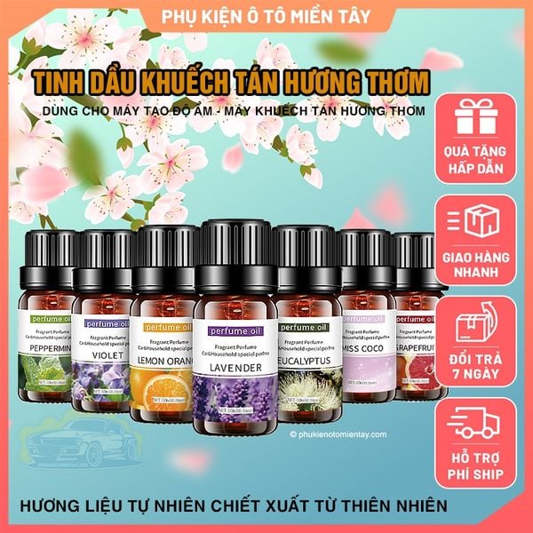 Tinh Dầu Nước Hoa, Hòa Tan Dùng Cho Máy Xông Tinh Dầu, Máy Khuếch Tán Tinh Dầu, Nước Hoa Ô tô, Xe Hơi Dung Tích 10ml