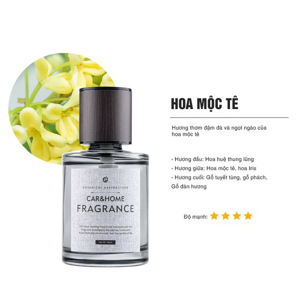 Nước Hoa Ô Tô Cao Cấp, Chuyên Dùng Cho Xe Hơi, Ô TÔ Khử Mùi Trang Trí Ô tô Chai Lớn 160ml