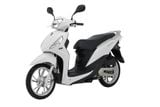  Sym Shark 50 