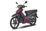  Sym Elegant 50 Phiên Bản Bánh Mâm 