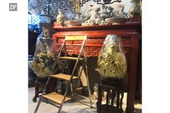 Thang gấp Orange 2 bậc