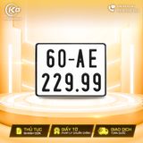 60AE-229.99