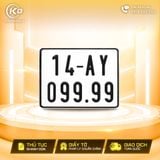 14AY-099.99