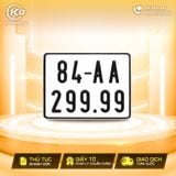 84AA-299.99