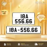 18A-556.66