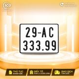 29AC-333.99