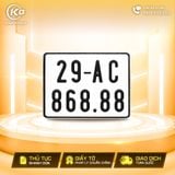 29AC-868.88