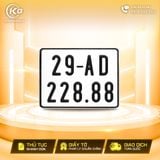 29AD-228.88
