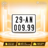 29AN-009.99