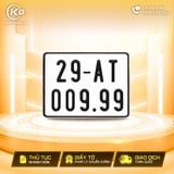 29AT-009.99