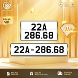 22A-286.68