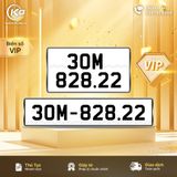 30M-828.22