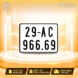 29AC-966.69