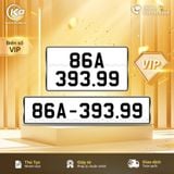 86A-393.99