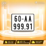 60AA-999.91