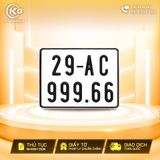 29AC-999.66
