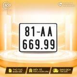 81AA-669.99