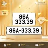 86A-333.39