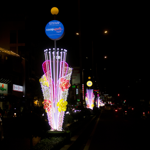  Đường đèn trang trí tuyến Đường Lê Đại Hành 