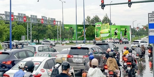  Hàng rào Tố Hữu - Mai Chí Thọ (2) 