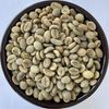  Robusta Chế Biến Ướt - Washed Robusta 