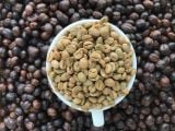  Fine Natural Robusta - Cà phê nhân đặc sản 