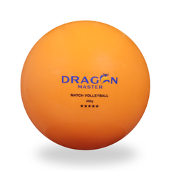 Bóng chuyền hơi DGA 250