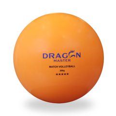 Bóng chuyền hơi DGA 200