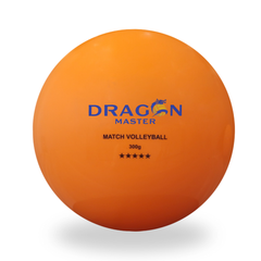 Bóng chuyền hơi DGA 300