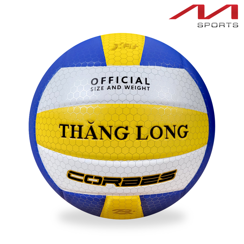 Bóng chuyền Dragon Master DG 6900