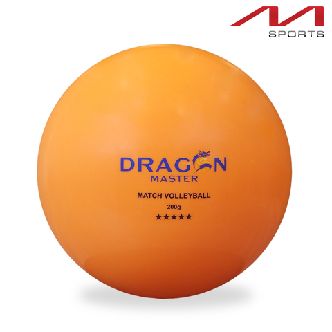 Bóng chuyền hơi DGA 200