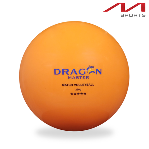 Bóng chuyền hơi DGA 250