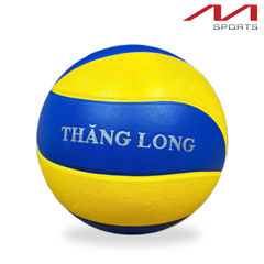 Bóng chuyền Dragon Master DG 310