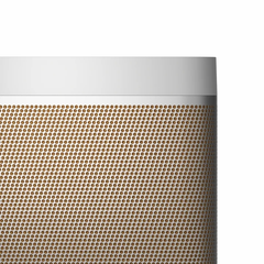 Bang & Olufsen Beolit 20