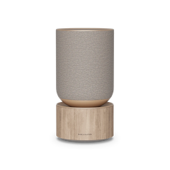 Loa Bang & Olufsen Beosound Balance