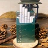  Canyon Xanh Lá Bạc Hà 