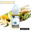 Bijutsu Juice Khế Kiwi Salt Nic
