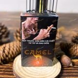  Camel Caster Black Tea Bấm Trà Đen 