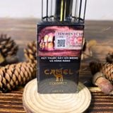  Camel Caster Trà Đen 