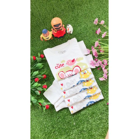  Set 5 Áo cotton trắng FANY tay dài cho bé gái ( Từ 6kg đến 18kg) 